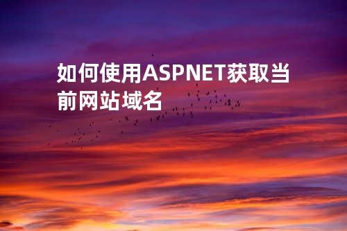 如何使用 ASP.NET 获取当前网站域名