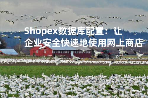 Shopex数据库配置：让企业安全快速地使用网上商店