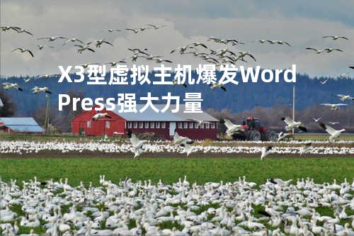 X3型虚拟主机爆发 WordPress 强大力量